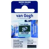 Talens Van Gogh 1/2 Tablet 630 Dusk Green Sulu Boya