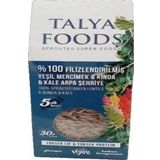 Talya Foods Talya Filizlenmiş Yeşil Mercimek Kinoa Kale Şehriye 200 gr