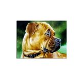 Talya Koruma Köpeği Buldog Kanvas Tablosu. Köpek Kuş At Aslan, Eski Harita, Oldmap, Antik Mısır, Uzay, New York Atatürk Dekoratif Duvar Pano (50x35)