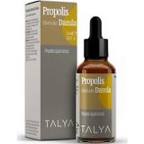 Talya Propolis Ekstrakt Damla 20 Ml