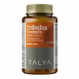 Talya Tribulus Terrestris 60 Kapsül