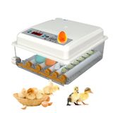 Tam Otomatik Kuluçka Makinesi, Nem ve Sıcaklık Kontrollü Otomatik Yumurta Çevirici, Kuluçkalık Yumurtalar için Brooder Kuluçka Makineleri Bıldırcın Papağan Ördek Kuş,16Eggs
