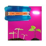Tam Spektrum 50W 220V Cob LED Chip Çanak Bitki Büyütme Fito Işık - 0,5 W - Altın