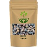 Tan Organik Defne (Laurus Nobilis) Tohumu 225 gr - 1 Adet