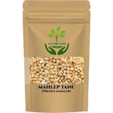 Tan Organik Mahlep Tane (Yabani Kiraz Çekirdeği) 50GR - 1 Adet