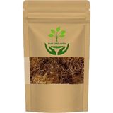 Tan Organik Mısır Püskülü- Zea Mays 100GR - 1 Adet
