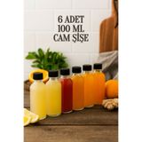 Tanemce 6 Adet Şeffaf Cam Shot Şişesi Sızdırmaz Siyah Plastik Kapaklı Kolonya Kavanoz Çok Amaçlı Şişe 100ml