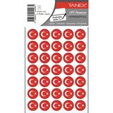 Tanex BYRK-107 19x19 mm 70'li Paket Türk Bayrağı