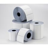 Tanex Eco 20x40 mm 25 mm Çap 4000'li 4'lü Termal Etiket