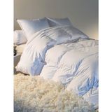 Tanış Home Premium Kaz Tüyü Yorgan Kuş Tüyü Hissiyat - 195 x 215 cm - 010 - Beyaz