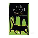 Tanrılar - Akif Pirinçci