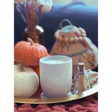 Taos Organic Soft Tanka Candle - Soya Wax Mumu El Yapımı Beton Saksı Esanslar Pamuk Fitil - Gri
