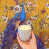 Taos Organic The Amazigh Fig Candle - Soya Wax Mumu El Yapımı Beton Saksı Esanslar Pamuk Fitil - Yeşil