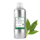 Tarçın (Seylan) Yaprak Uçucu Yağı (Cinnamon (Ceylon) Leaf Essential Oil) - 1 Kg - Saf ve Doğal Uçucu Yağ