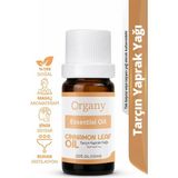 Tarçın Yaprak Yağı %100 Doğal Sıcak Baharatlı Bakım Yağı Cinnamon Leaf Essential Oil 10 ml
