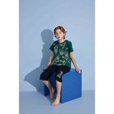 Tarık Erkek Çocuk Kaplan T-Shirt Bermuda Alt Penye Süprem Bisiklet Yaka Orta Kalın Pijama TAKIMI-3975 - Yeşil - 10 - 11 Yaş