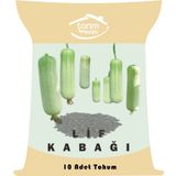Tarım Evim 10 Adet Lif Kabağı Tohumu