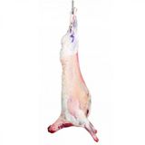 Tarım Kredi 1 kg Karkas Kuzu