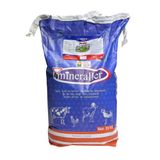 Tarımgaraj Minevit B2 Büyükbaş Küçükbaş Süt ve Besi Yem Katkı 25 Kg