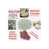 Tarımsal ve Hayvansal Ürünler 1000 Adet Kültür Mantarı Tohumu