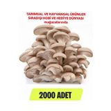 Tarımsal ve Hayvansal Ürünler 2000 Adet İstiridye Mantarı Tohumu, Ekim Poşetleri, Kılavuz ve Üzüm Fidanı Tohumu Hediye