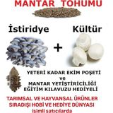 Tarımsal ve Hayvansal Ürünler 30.000 Adet İstiridye ve 30.000 Adet Beyaz Şapkalı Kültür Mantarı Tohumu ve Süprist Hediye - 1 Adet