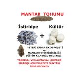 Tarımsal ve Hayvansal Ürünler 3000 Adet İstiridye ve 3000 Adet Kültür Mantarı Tohumu