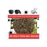 Tarımsal ve Hayvansal Ürünler ARI OĞULU YAKALAMA MACUNU
