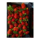 Tarımsal ve Hayvansal Ürünler çilek reçeli 500 gr