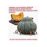 Tarımsal ve Hayvansal Ürünler Dev Kestane Bal Kabağı Tohumu 100 Adet