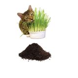 Tarımsal Ve Hayvansal Ürünler Kedi Çimi Tohumu (10.000 Adet Tohum) Ve Çim Ekim Toprağı (10 Litre)