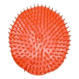 Tarko 872430 Kırmızı Enginar Saç Yıkama Tarağı