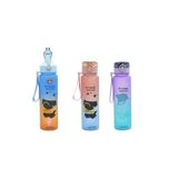 Taros Unick Color Bear Matara, 800 ml, Sporcu Mataraları
