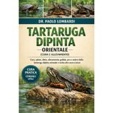 Tartaruga Dipinta Orientale (Cura e Allevamento): Cura, salute, dieta, allevamento, gabbie, pro e contro della tartaruga dipinta orientale e molto altro ancora inclusi