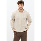 Tarz Cool Erkek Bej Uzun Kollu Polo Yaka Slim Fit Triko Kazak Casual Stil