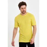 Tarz Cool Sarı Erkek Yuvarlak Yaka Örme T-Shirt - Standart - Göründüğü Gibi
