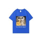 Tarzsokak Erm, What The Sigma? Meme Funny T-Shirts Silly Cat Humor Print T Shirt Men Women Cute Vintage, Mavi4589, Xl