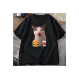 Tarzsokak Kedi Crunching Gıda Meme T-Shirt Kadın Erkek Aptal T Shirt Komik Kedi Yeme T-Shirt Pamuk Kısa, Siyah1292, S