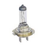 TAS 12V H7 Ampul 55W Halogen SL3310 (10 lu)