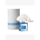 TAŞ FISH AMBER ODA KOKUSU 500ML
