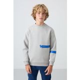 Taş Pamuklu Kalın İçi Tüylü Yumuşak Dokulu Standart Fit Baskılı Erkek Çocuk Sweatshirt - 11238