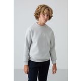 Taş Pamuklu Kalın İçi Tüylü Yumuşak Dokulu Standart Fit Nakışlı Erkek Çocuk Sweatshirt - 11232