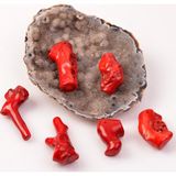 Taş Sandığı Dal Mercan Taşı Kütle - Boyalı Mercan