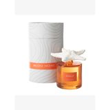 TAŞ STARFISH KUMQUAT ODA KOKUSU 500ML