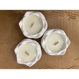 Taş Tozu Vanilya Aromalı Lotus Mumluk Dekoratif/aksesuar Set - 3 Adet