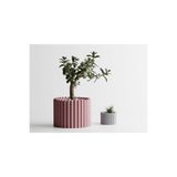 Tasarım Rounded Dekoratif Saksı - Pembe Çubuklu Modern Saksı 8 cm