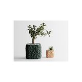 Tasarım TerraForma Dekoratif Saksı - Haki Modern Bitki Saksısı 12 cm