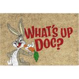 Tasarımlı Dekoratif Kapı Önü Paspas, Dış Mekan/ev İçi/banyo/mutfak/yatak Odası/giriş Paspasları (Whats Up Doc, 45X70)