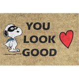 Tasarımlı Dekoratif Kapı Önü Paspas, Dış Mekan/ev Içi/banyo/mutfak/yatak Odası/giriş Paspasları (You Look Good, 45X70) - Abanoz