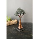 Tasarloxi Dekoratif Dik Bonsai Ağaç